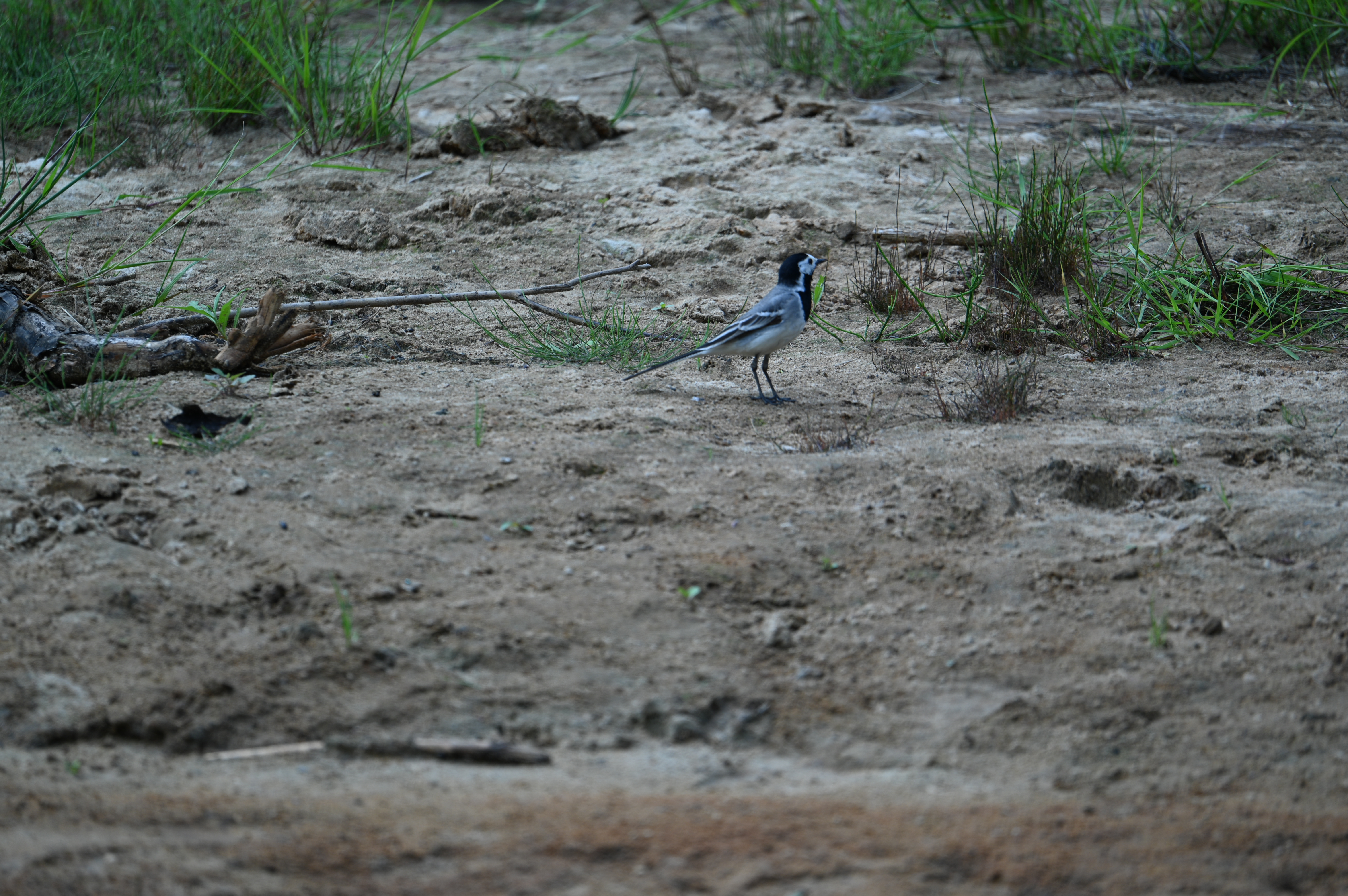 2025/07/09-14 - trip/DSC_0355.JPG